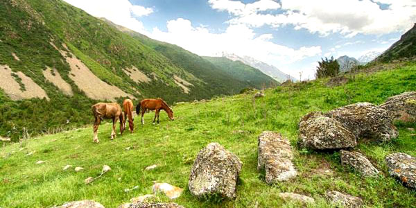 Bishkek fun guide - Alamedin Gorge with its wild horses