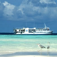 Atoll Explorer is a Maldives live-aboard with a great dive centre