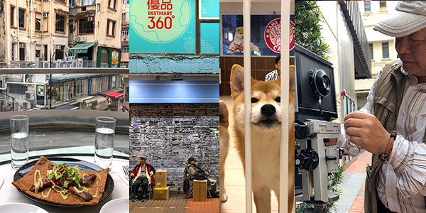 Causeway Bay fun guide to dog cafes, cat cafes, the best crepes in Hong Kong and more