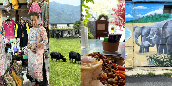 Kam Tin fun guide for Hong Kong weekends - Kat Hing Wai walled village, goats in field, Thai food, wall murals
