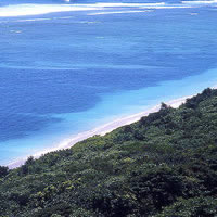 Andamn Islands guide - rainforest and beach