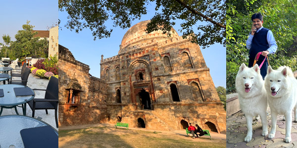 A glorious winter week in blue-sky Delhi, Lodhi Gardens to dog walks and roof breakfasts