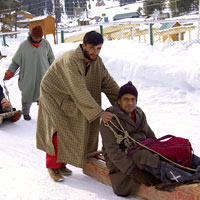 Local sled rides - not for the fainthearted