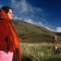 Kerala guide, Eravikulam high above Munnar