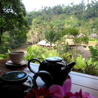 Breakfast at Mandapa overlooking green valleys and the river