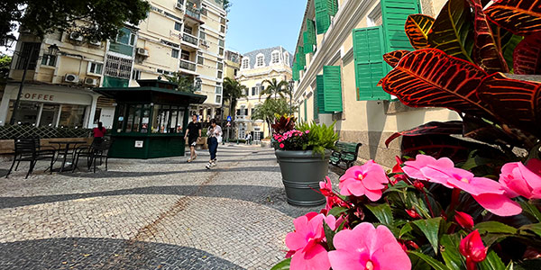 Macau fun guide - cobbled streets and flowers at St Augustine's Square