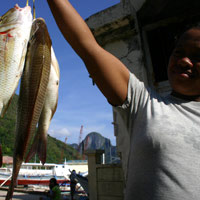 Palawan guide, fresh fish at El Nido
