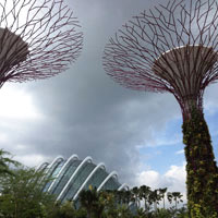 Gardens by the Bay - Futuristic