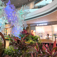 Dingapore airport duty free shopping at T4 - Swarovski store