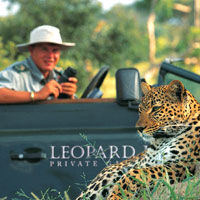 Close up leopard sightings are possible
