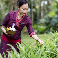 Top Thailand spa resorts, Four Seasons Chiang Mai, collecting spa herbs