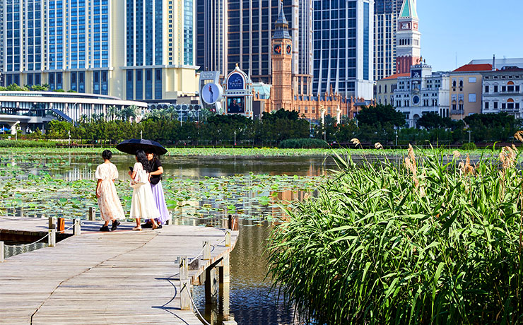 The wetlands of Taipa just off the Cotai casino strip