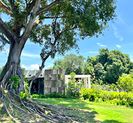 A tropical oasis with centuries old ficus trees, Raffles Sentosa is among the top Singapore family resorts