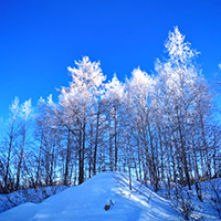 Frozen Inner Mongolia forested beauty near Aoluguya