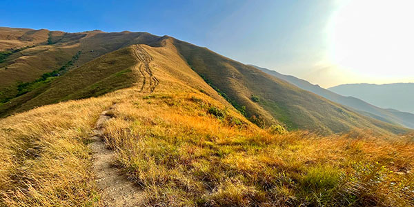 Hong Kong's Kai Kung Leng range in Yuen Long transforms into the Scottish moors in winter, photo by Vijay Verghese.