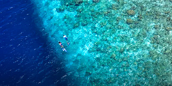 Niva Kurumba Maldives is a great spot for families with its excellent house reef for snorkelling