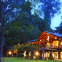 Family resorts for nature activities — Borneo Rainforest Lodge in Sabah