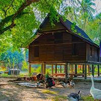 Pelangi Beach Resort Langkawi has its KiKi Farm for kids and a fun-filled club