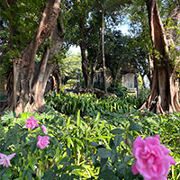 Macau child-friendly options, Camoes Garden