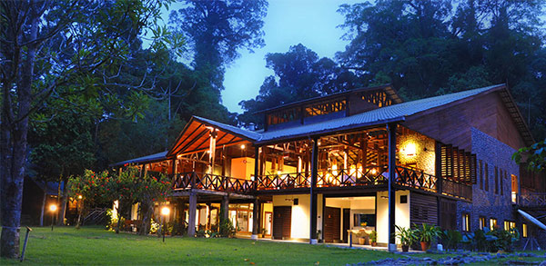 Stilted accommodation ensures wildlife passage is not restricted at the Borneo Rainforest Lodge