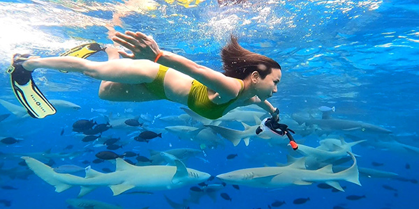 Swimming with sharks in the Maldives near Maafushi