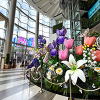 Siam Paragon is a vast and glitzy shopping mall