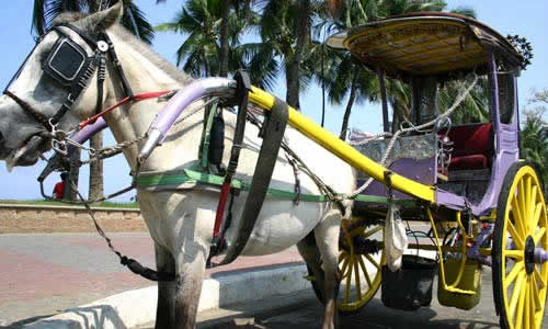 Horse Carriage In Manila Bay / photo: Vijay Verghese